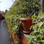 Il Gelsomino Apartmanhotel