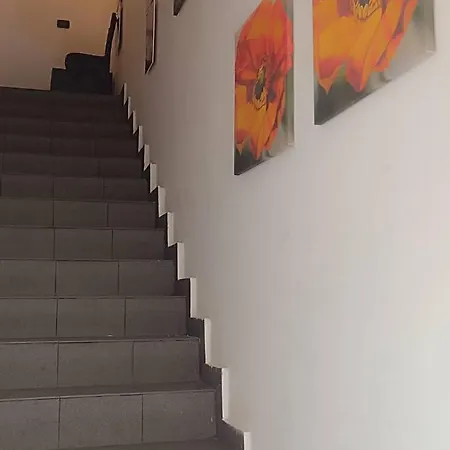 Il Gelsomino