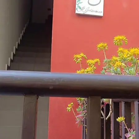 Il Gelsomino