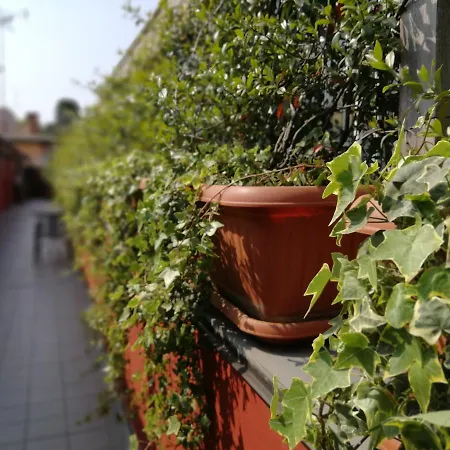 Il Gelsomino Aparthotel