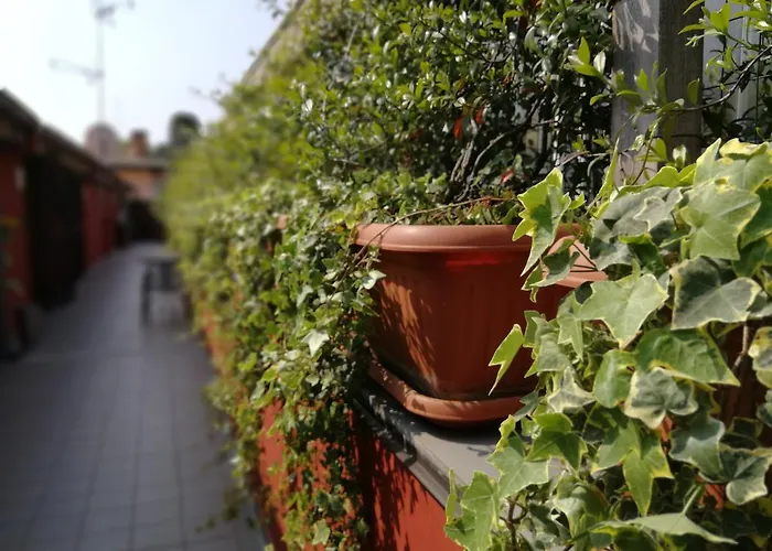 Il Gelsomino Aparthotel