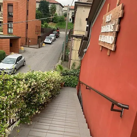 Il Gelsomino